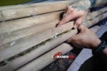 Em Ji–Paraná, PRF apreende drogas escondida dentro de cabo de machado