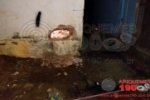 ALTO PARAÍSO: Criminosos quebram parede e invadem loja de móveis para furtar