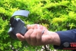 ARIQUEMES: Morador do Setor 09 encontra Tornozeleira rompida em seu jardim e aciona Polícia