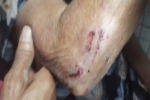 ABSURDO: Ex–policial militar foge após agredir e arrastar mãe idosa pelos cabelos
