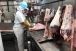 Selo do Serviço de Inspeção garante segurança alimentar ao consumidor de produtos de origem animal em Rondônia