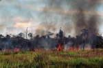 Governo de Rondônia participará de live com outros estados para discutir ações no combate a incêndios florestais