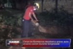 ARIQUEMES: Corpo de Bombeiros desobstrui pistas após árvores caírem durante tempestade – Vídeo
