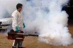 Boletim epidemiológico aponta redução de casos de dengue e zika em Rondônia