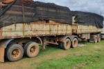 PRF apreende 45,30 m³ de madeira ilegal e autua condutor por crime ambiental em Ariquemes/RO