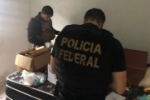 Polícia Federal deflagra operação contra organização criminosa que devastava Terras Indígenas em Rondônia – Vídeo