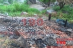 ARIQUEMES: Incêndio em residência no Jardim das Pedras pode ter sido criminoso