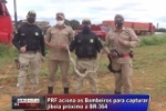 ARIQUEMES: PRF aciona os Bombeiros para capturar Jiboia próximo à BR–364 – Vídeo