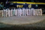 Motorista de caminhão é preso transportando mais de 200 kg de cocaína – Droga saiu de Rondônia