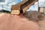Governo entrega mais de seis mil toneladas de calcário para 190 produtores de leite de Rondônia