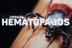 "Operação Hematófagos" PC realiza operação em combate à corrupção e falsificação de documentos no IDARON – RO