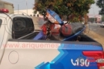 ARIQUEMES: Através de denúncia PM recupera na Av. Candeias veículo roubado