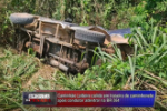 ARIQUEMES: Caminhão Leiteiro colide em lateral de caminhonete após condutor adentrar na BR–364 – Vídeo