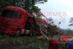 JARU: Carreta e veículo de passeio são atingidos por árvore que caiu na BR 364, causando o fechamento da rodovia por horas