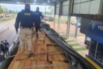 Em Ariquemes, PRF identifica transporte irregular de madeira