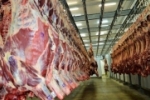 Volume de exportação de carne bovina de Rondônia aponta para novo recorde em 2022