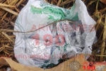 ARIQUEMES: Traficante foge da PM e abandona tablete e 28 invólucros de Maconha no Setor 10