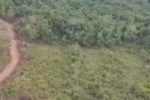 Falcão 02 localiza 30 cabeça de gado furtados está madrugada em Rondônia – Vídeo
