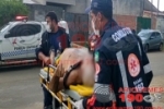 Urgente: Idoso é alvejado a tiro após reagir a roubo no Setor 04 de Ariquemes – PM procura marginais