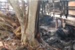Carreta pega fogo após colidir em árvore às margens da BR–364 e motorista morre carbonizado; veja vídeos