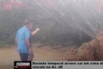 Um idoso e sua família tiveram um livramento – Durante temporal árvore cai em cima de veículo na Av JK – Vídeo