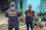 ARIQUEMES URGENTE: Polícia Federal deflagra operação de combate ao abuso sexual infantil e prende suspeito em flagrante
