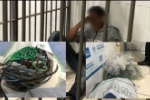 Usuário de drogas preso por furto de fios elétricos em prédio abandonado da Sejus