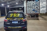 ARIQUEMES: PRF identifica transporte irregular de produtos florestais