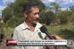 Propriedade rural investe em produtos orgânicos e é assistida pela Secretaria de Agricultura – Video 