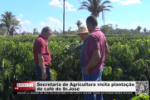 Secretaria de Agricultura visita plantação de café do Sr. José – Vídeo 