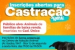 Prefeitura de Ariquemes abre cadastramento para castração de animais domésticos de famílias inseridas no Cad. Único em Ariquemes